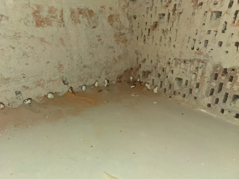 sanace-zdiva-ceska-lipa